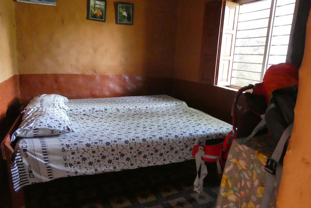 ポカラ ディネッシュ ハウス Bed & Breakfast エクステリア 写真